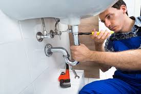 Professional Plumbung Services in Mcadoo, PA